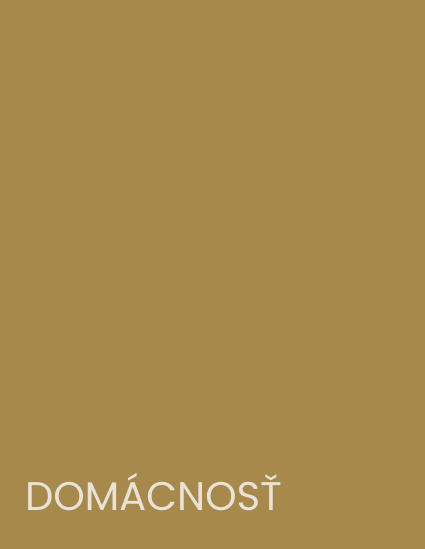 Domacnost